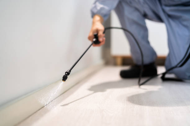 Licensed Pest Control service in Irion County County, TX - Nex Pest Control