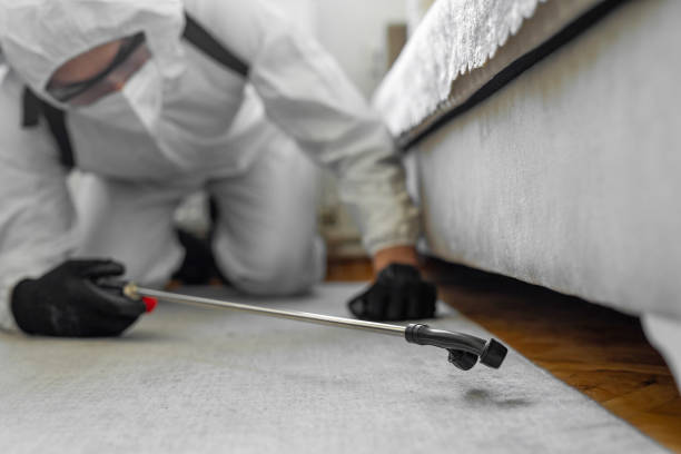 Professional Pest Control technician working in Irion County County, TX